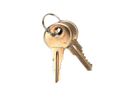 Replacement Keys for Sure-Grip® EX safety cabinet paddle handle, set of 2 for lock no. CH545 - SolventWaste.com