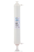 EZBio Ultra Maxpure Capsule Filter 20", Double-Layer PTFE, Silicone O-Ring, Non-Sterile