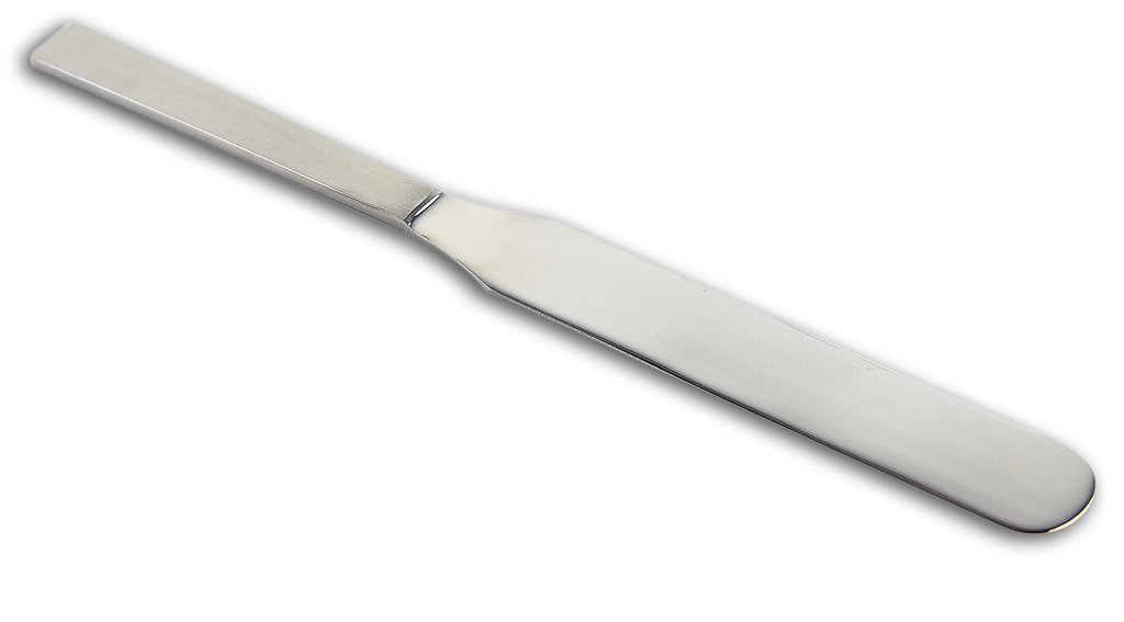 EZBio® Stainless Steel Spatula - 304 SS - Steel Handle - 100mm - 1/EA | img_1 | Foxx Life Sciences Global | shopfls.com