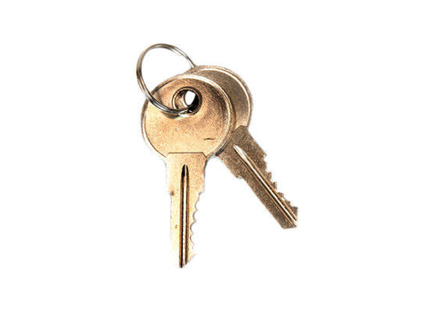 Replacement Keys for Lever handle on safety cabinet, set of 2 for lock no. 331CK - SolventWaste.com