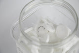 EZFlow® 25mm Syringe Filter, .45µm PES,Glass Fiber Prefilter, 100/pack - SolventWaste.com