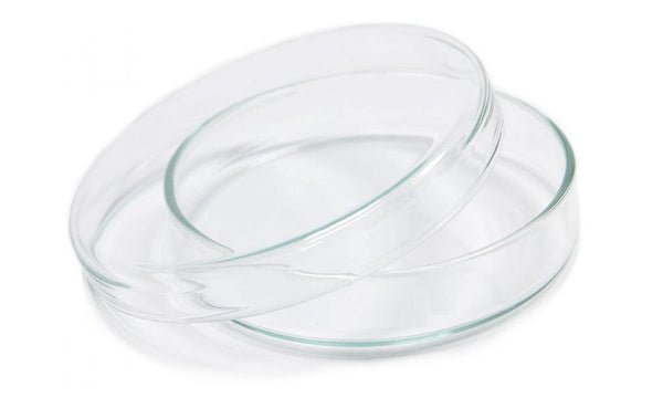 Borosil® Dishes - Petri - with Covers - 50mm x 17mm (OD x H) - CS/100 - SolventWaste.com